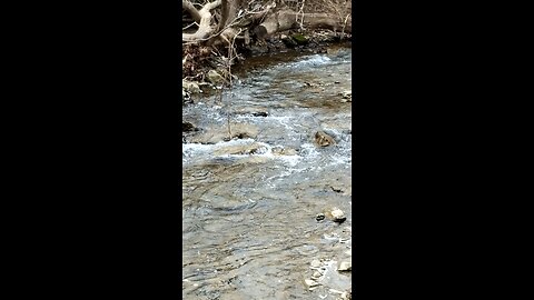 Short Creek WV