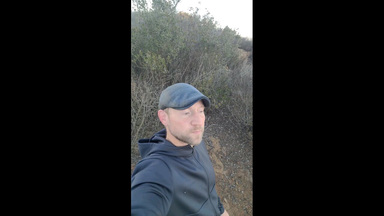 Astrology Week of Nov 9-15