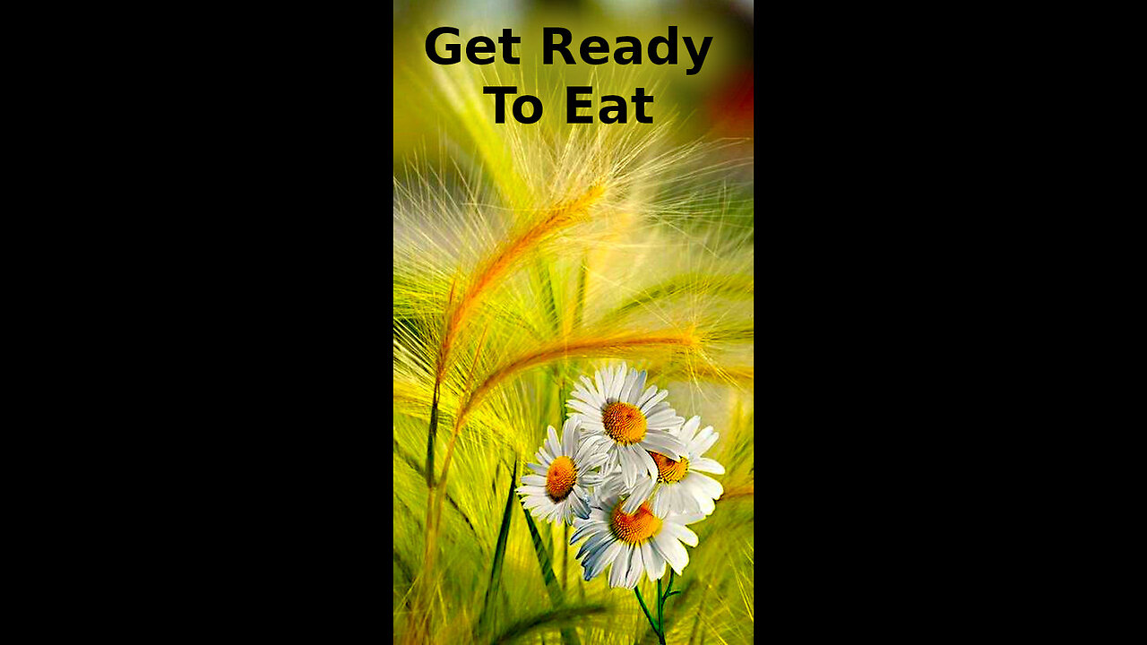 Zoe 🏕️ 514 ~ Get Ready To Eat