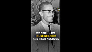 WE STILL HAVE HOUSE NEGROES AND FIELD NEGROES