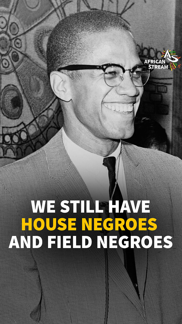 WE STILL HAVE HOUSE NEGROES AND FIELD NEGROES