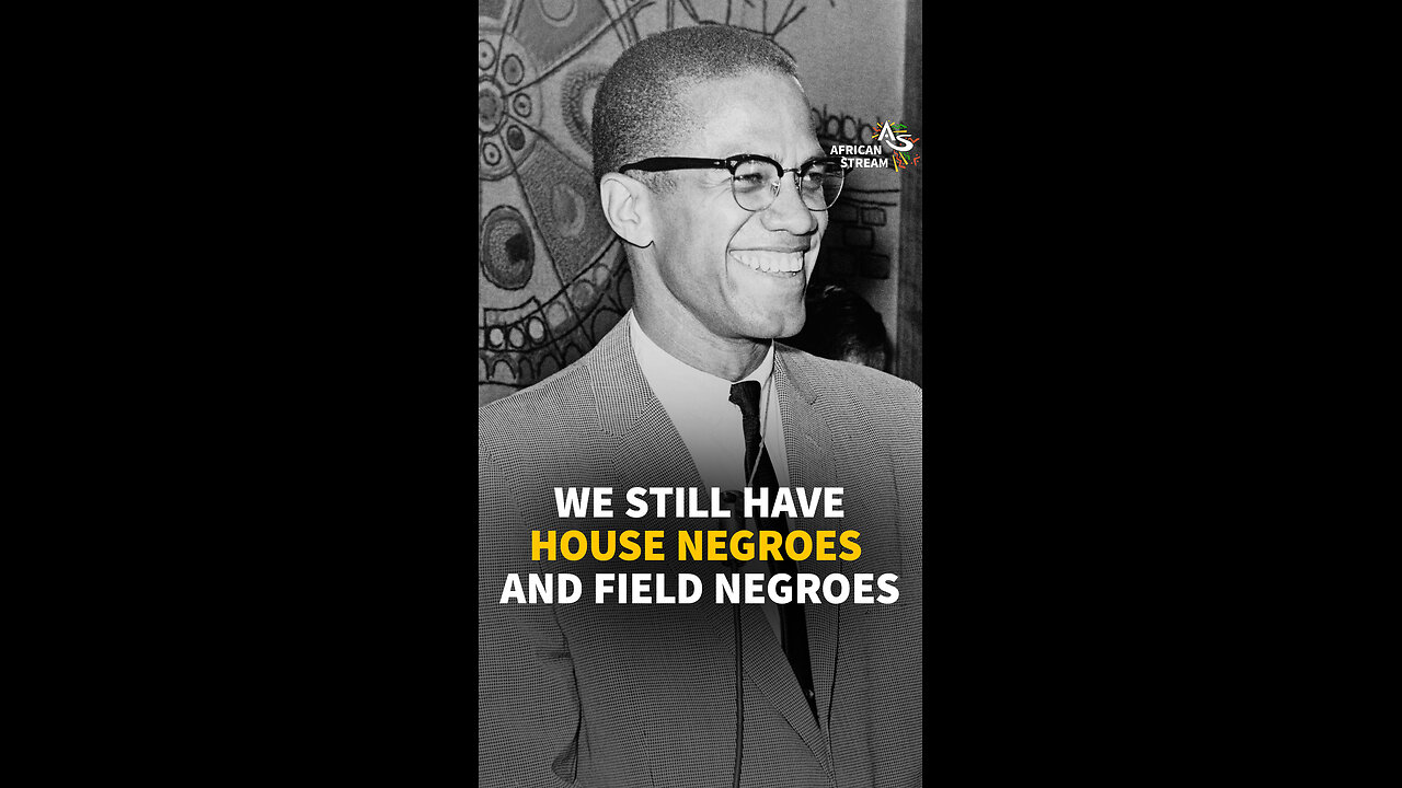 WE STILL HAVE HOUSE NEGROES AND FIELD NEGROES