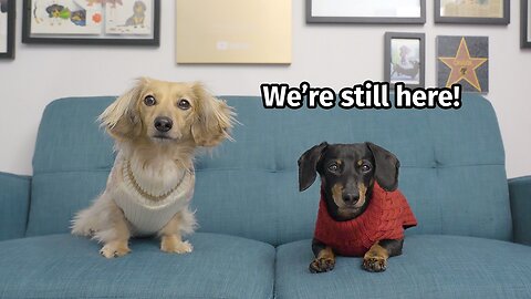 We're Still Here — Update on Crusoe and Daphne