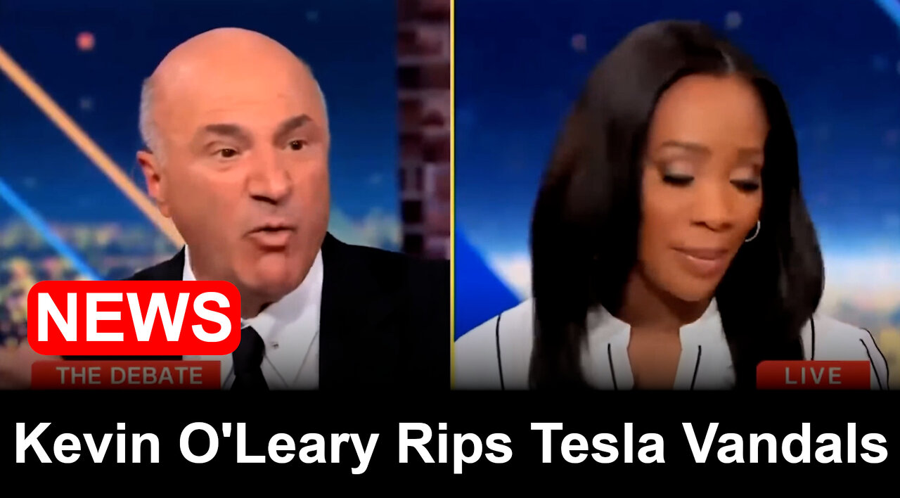 Kevin O'Leary rips Tesla terrorists, Tim Walz