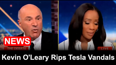 Kevin O'Leary rips Tesla terrorists, Tim Walz