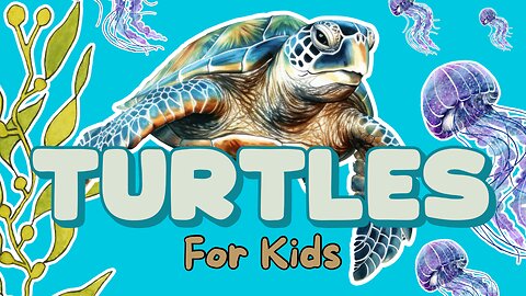 Sea Turtles: Ancient Ocean Explorers!