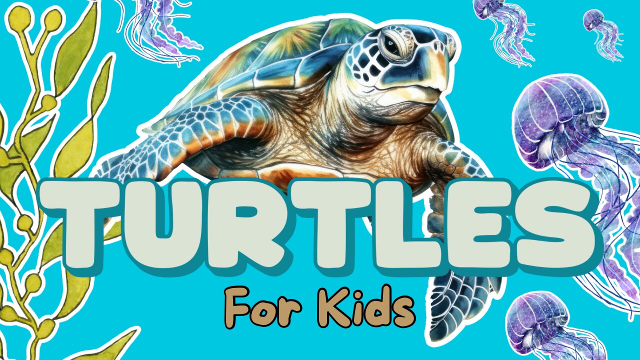 Sea Turtles: Ancient Ocean Explorers!