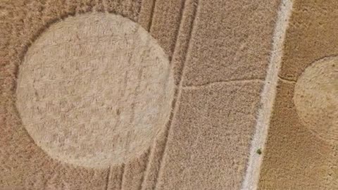 Crop Circle – 10 juillet 2025, Littleton Hill, Somerton, Somerset, Angleterre – 4K