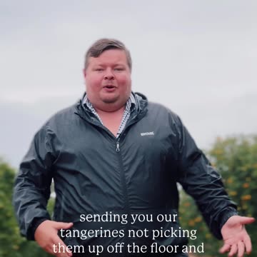 ⏏️ When the summer stretches too long, even tangerines get impatient