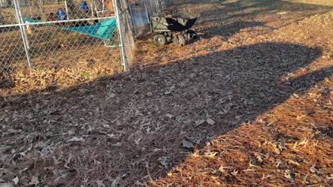 Gorrila Cart Multi Year Update