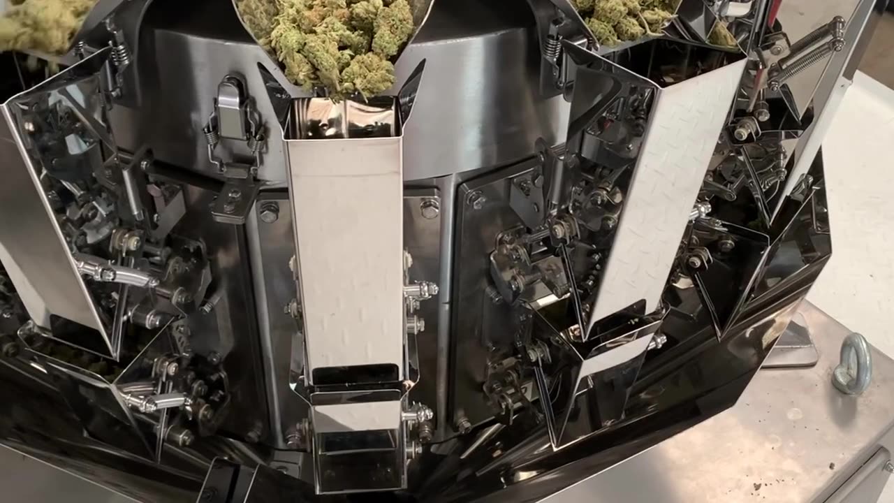 CANNABIS JARRING LINE - Full packaging automation - HIGH TEK USA