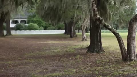 Pistoleros Americanos - Película completa - William Adams, Jezibell Anat, Tori Barker