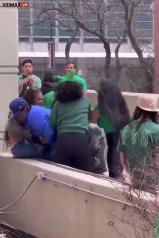 LOOK AT THE IRISH MONKEYS