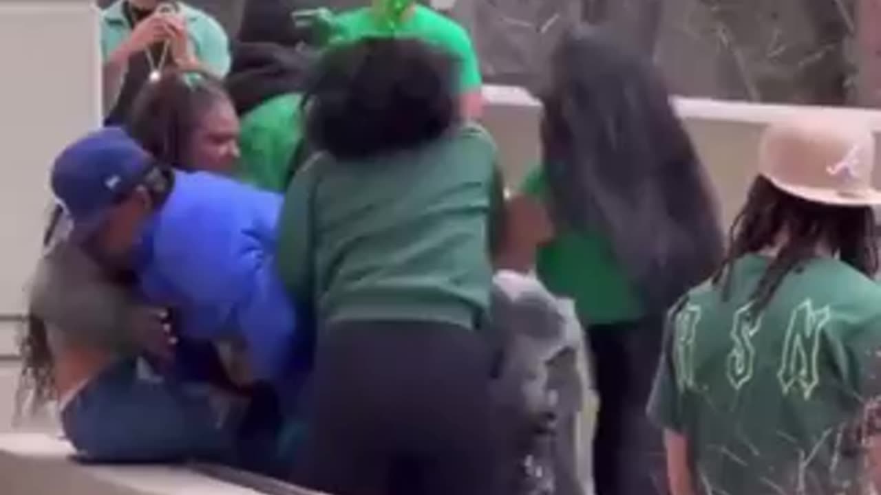 LOOK AT THE IRISH MONKEYS