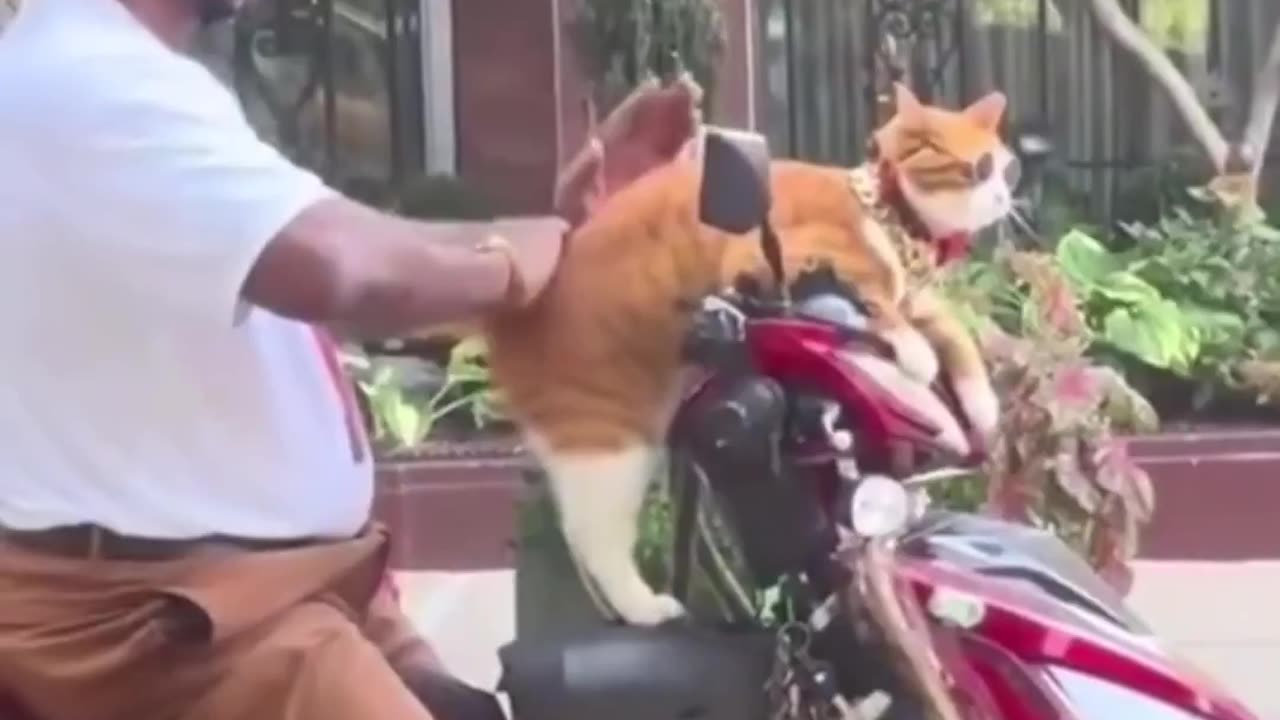 😂