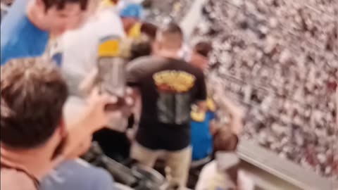 Brawl at the rams vs Texans game
