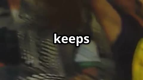 UCLA Football 🏈 | Latest Highlights, Rankings, Stats & Game Updates