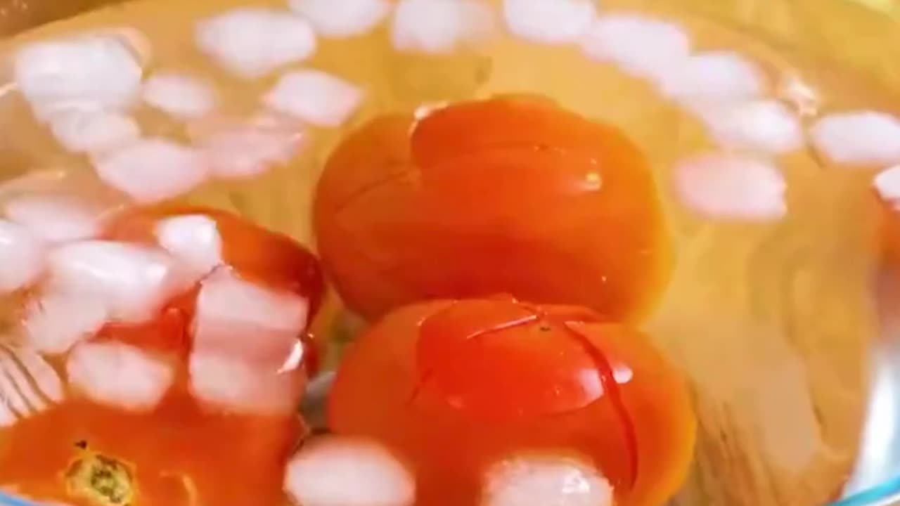 Exotic Meal Recipes You Can Easily Cook at Home!