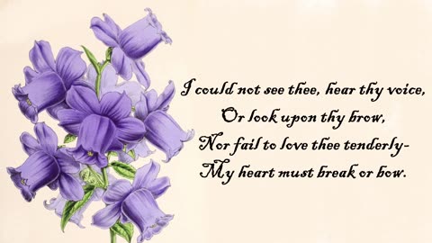 Canterbury - The Language of Flowers