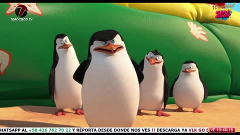 [Clip] Los Pingüinos del Madagascar | Los Pingüinos en el Avión | Torococo TV (Venezuela 🇻🇪)