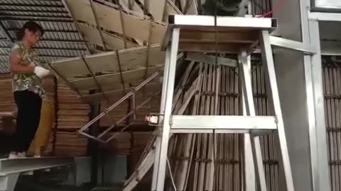 The veneer dryer