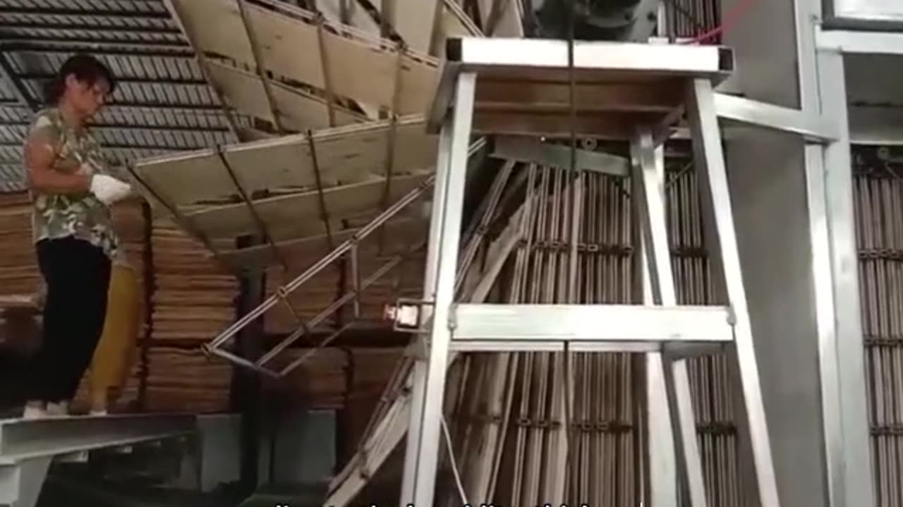 The veneer dryer