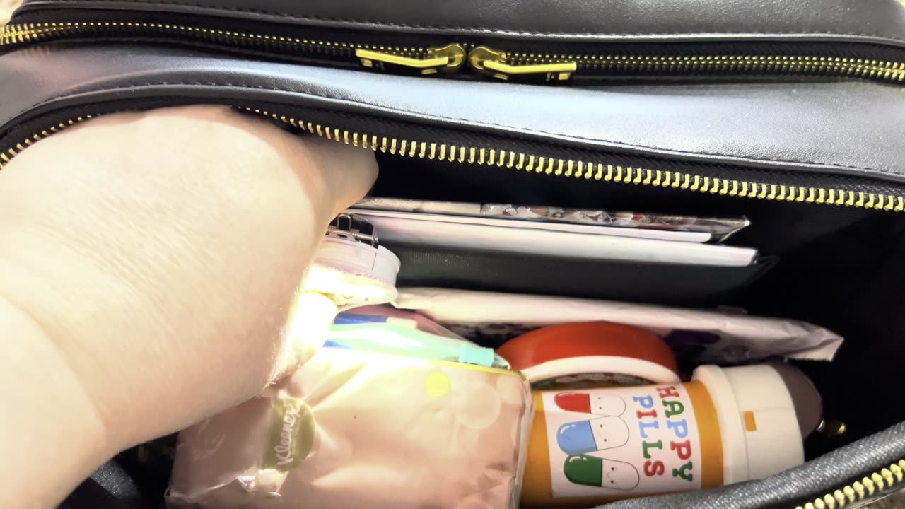 What’s in my Gorgeous Crinkled Leather Niki Bag 💼