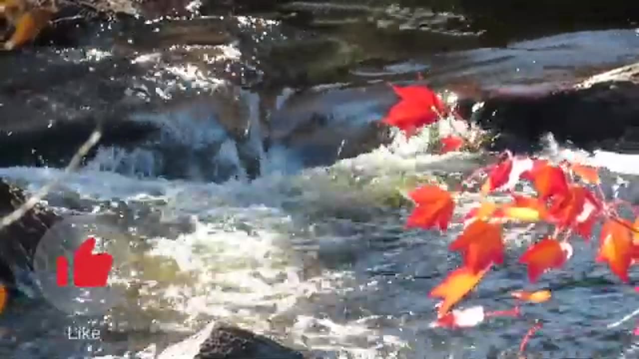 Nature surrounding with flowers and waterfalls