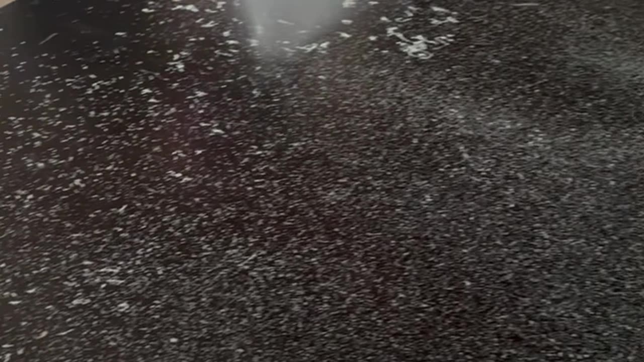 When You Try to Make a Cat Clean Up Its Own Mess