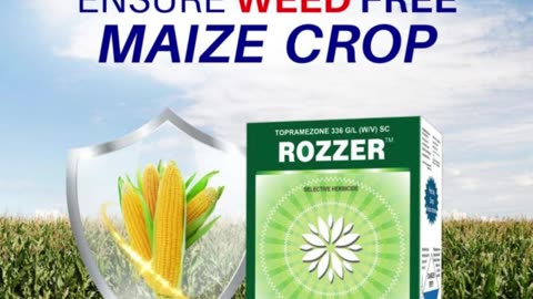 Leading Agrochemical Manufacturer in India – NACL Industries