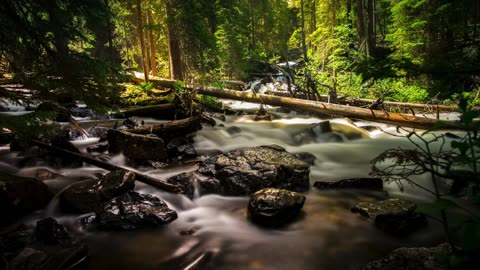 How to know you are a true disciple of Jesus Christ, and not merely bound in 'dead religion' – Audio