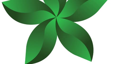 Adobe illustrator I logo design I graphic design