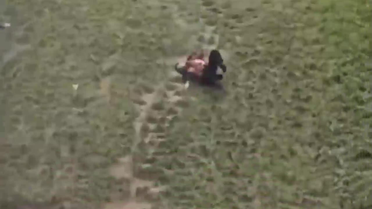 Multiple people were hospitalized after Monday’s cheese roll in the UK