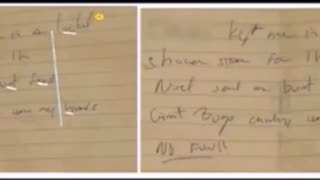 🎥 Epstein’s Handwriting: What It Reveals from a Forensic Prison Insider