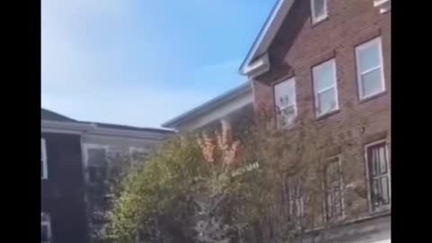 Only dangerous videos