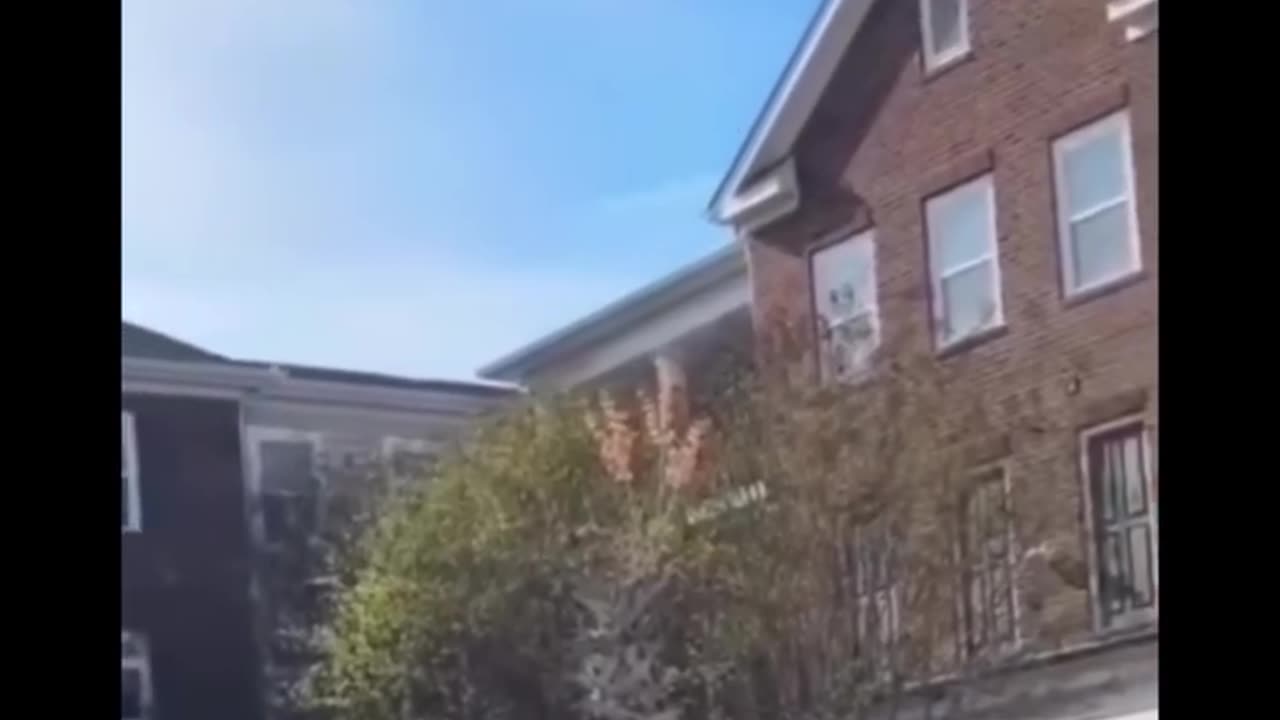 Only dangerous videos