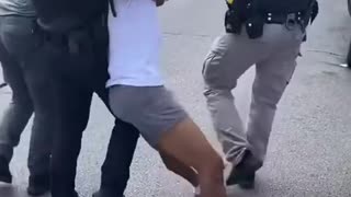 ANOTHER RODNEY KING JUNGLE BUNNY IN SHITCAGO