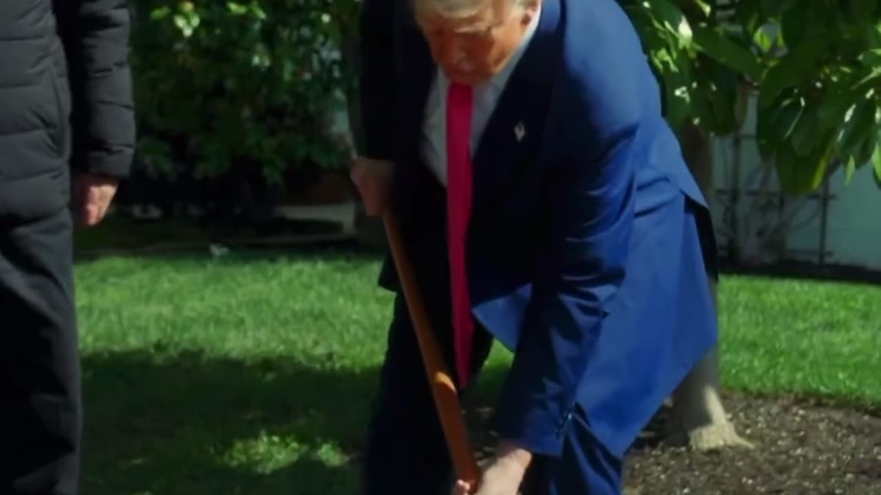 President Trump plants Jackson Magnolia tree replacement