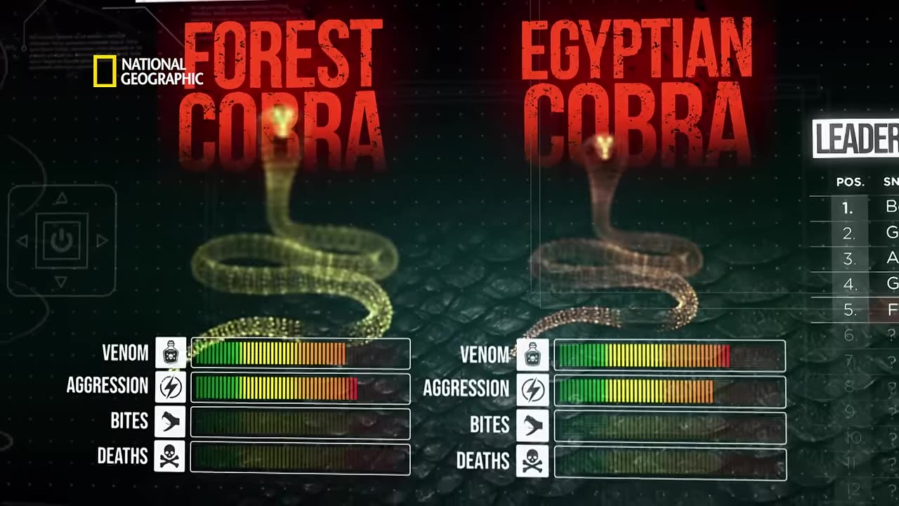Snakes discovery
