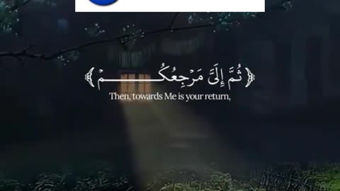 Light of Quran
