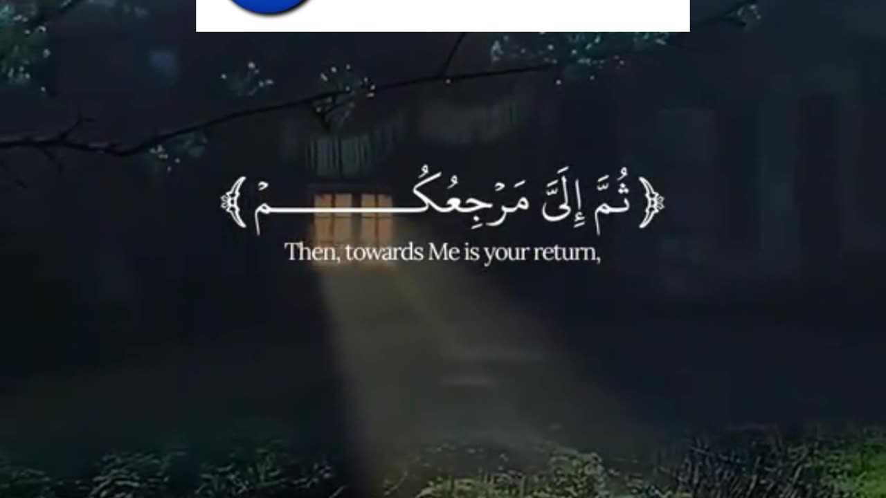 Light of Quran