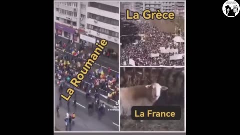 LA MOUTRUCHE La demi soeur du MOUGEON !