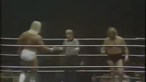 WWF MSG Apr 21 1980 B **NOT ON PEACOCK**