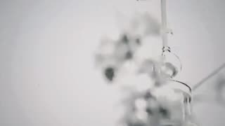 $UICIDEBOY$ - BLOODSWEAT (Video)