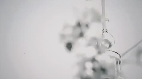 $UICIDEBOY$ - BLOODSWEAT (Video)