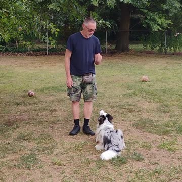 Structured Play Games Backing Up Exercise short 3