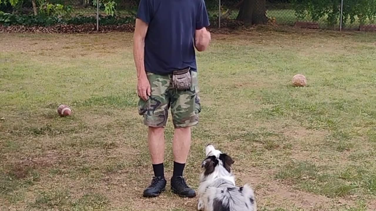 Structured Play Games Backing Up Exercise short 3