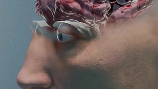 What REALLY Happens When You Get Knocked Out