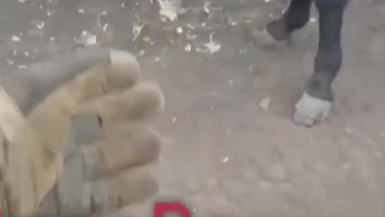 Russians