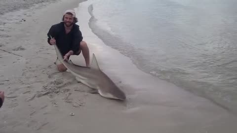 a pesca ho imparato come pescare grossi squali, fishing shark, ma bisogna in compagnia_part32